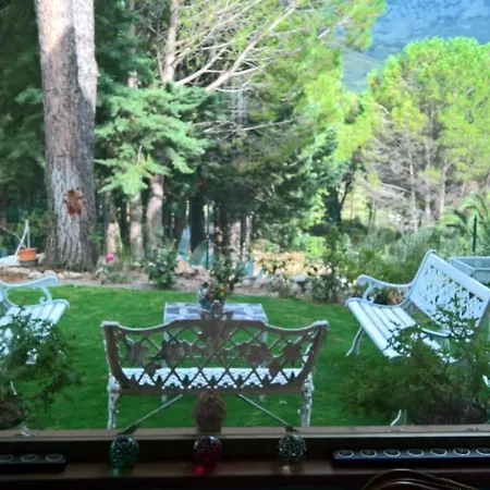 Hassin Bed & Breakfast *